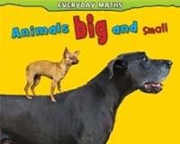 Animals Big and Small - Daniel Nunn