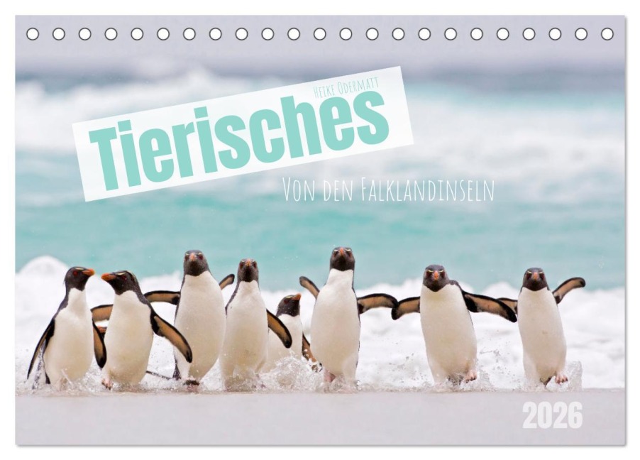 Tierisches von den Falklandinseln (Tischkalender 2026 DIN A5 quer), CALVENDO Monatskalender - Heike Odermatt
