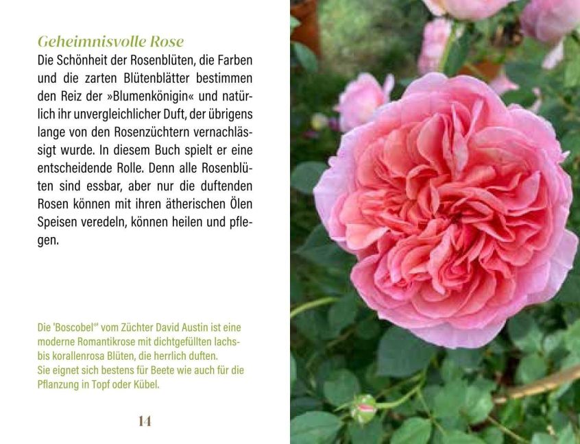 InsideView 1