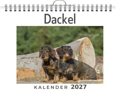 Cover-Bild zum Titel 'Dackel' von 'Tim Lange'