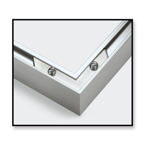 InsideView 4