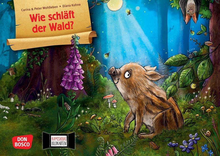 Wie schläft der Wald? Kamishibai Bildkartenset - Carina Wohlleben, Peter Wohlleben