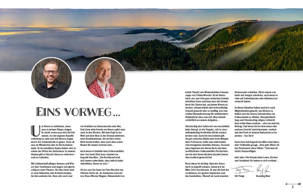 InsideView 1