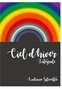 Cover-Bild zum Titel 'Ciel d'hiver - intégrale' von 'Ludivine Silvestre'