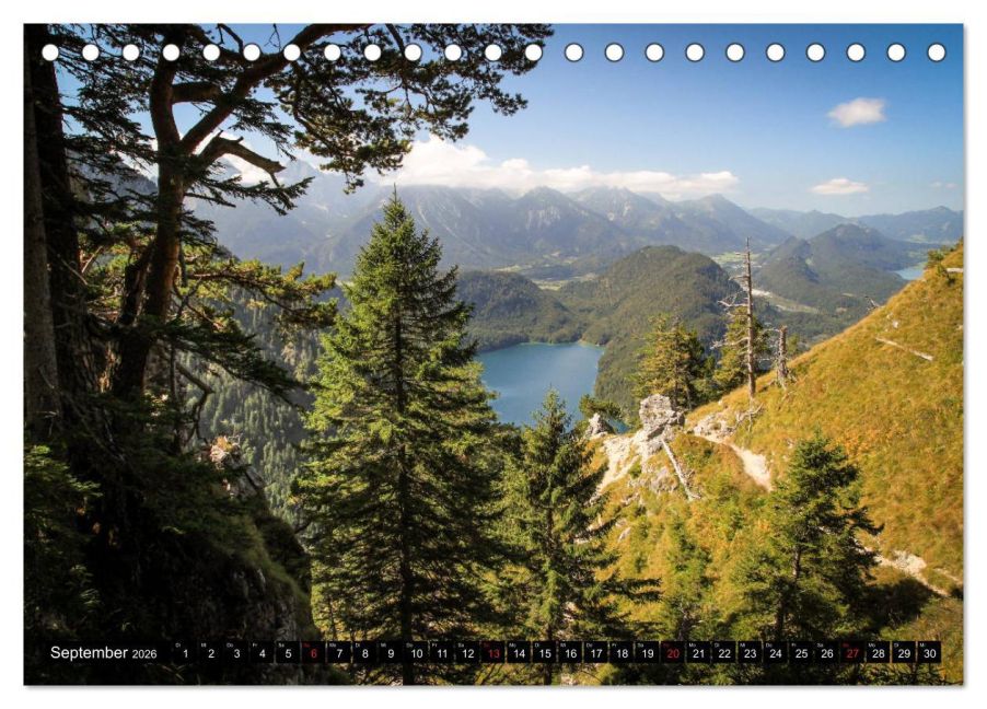 InsideView 14