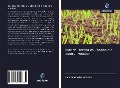 Cover-Bild zum Titel 'Rurban Territories: Steden die mensen voeden' von 'Kudakwashe Mutsonziwa'