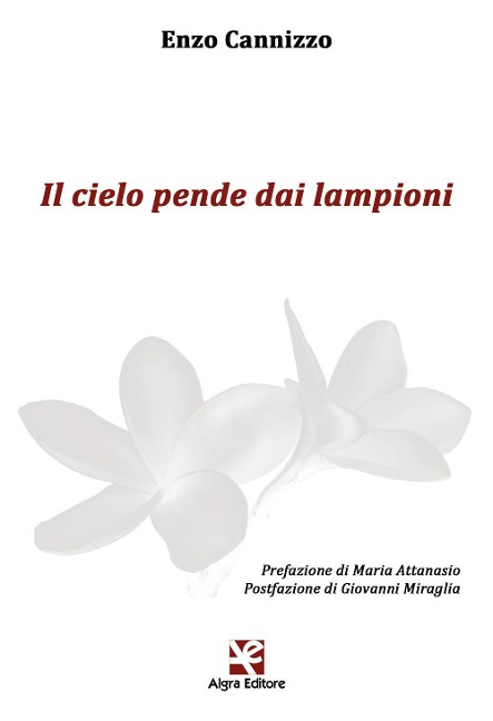 Il cielo pende dai lampioni - Enzo Cannizzo