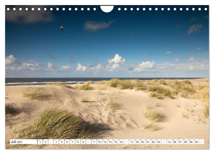 InsideView 12