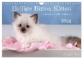 Heilige Birma Kitten - ein Traum auf weißen Pfötchen (Wandkalender 2024 DIN A4 quer), CALVENDO Monatskalender - Michaela Thoms