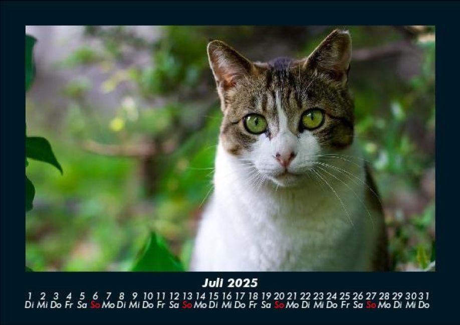InsideView 11