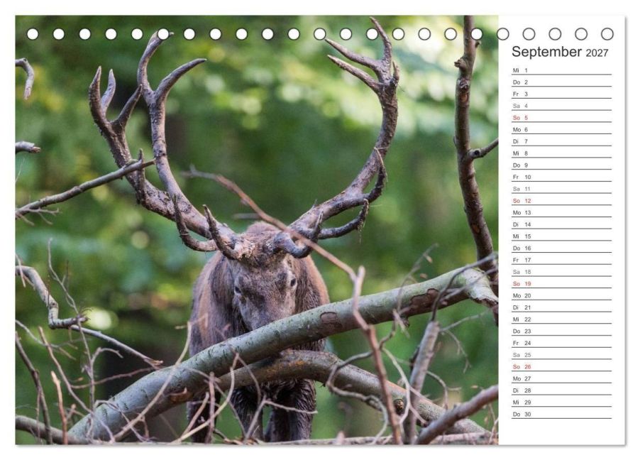 InsideView 14