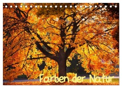Cover-Bild zum Titel 'Farben der Natur (Tischkalender 2026 DIN A5 quer), CALVENDO Monatskalender' von 'Holger Gräbner'