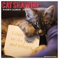 Cat Shaming 2024 12 X 12 Wall Calendar - Willow Creek Press