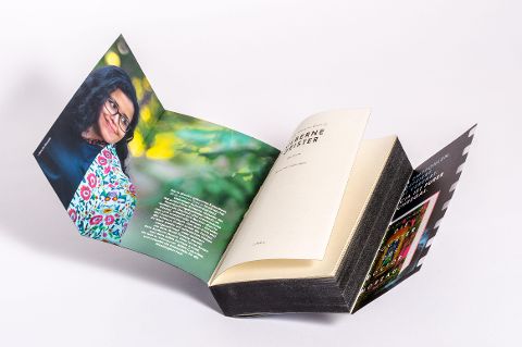 InsideView 7