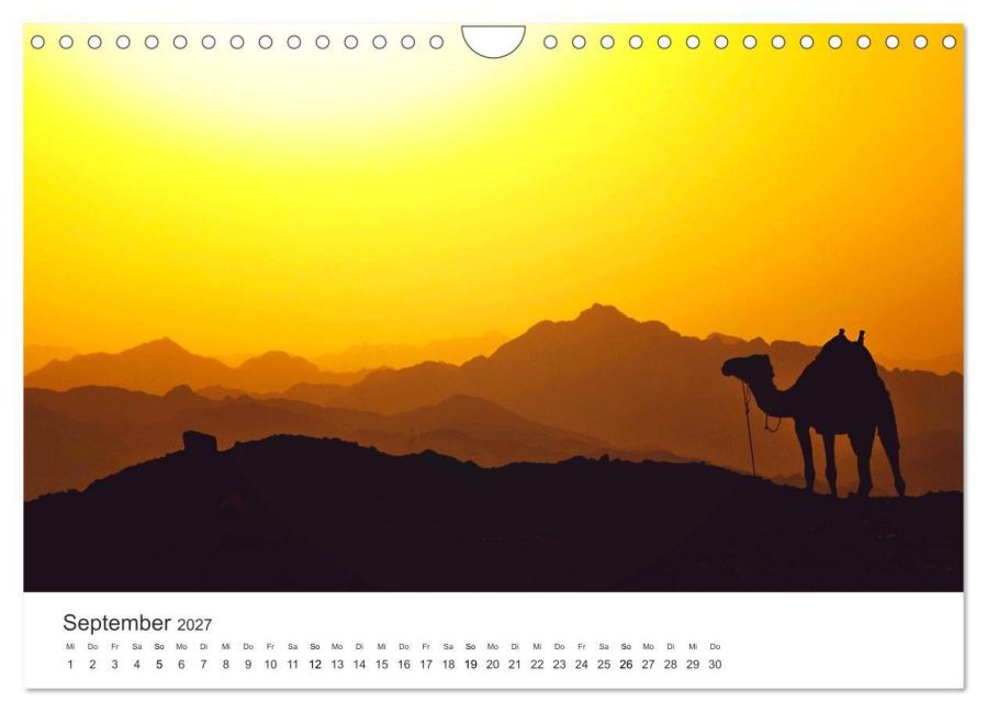 InsideView 14