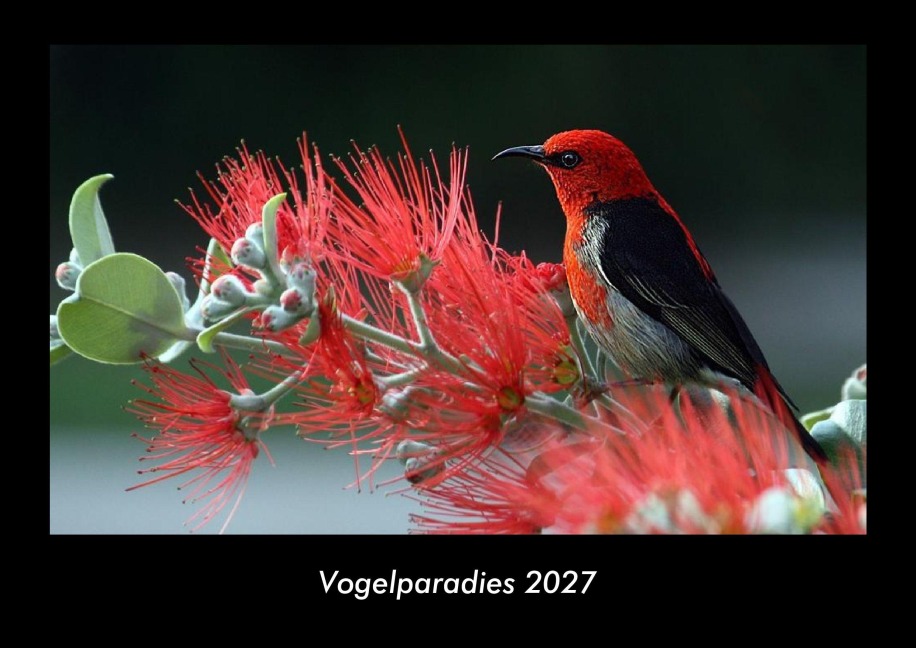 Vogelparadies 2027 Fotokalender DIN A3 - Tobias Becker