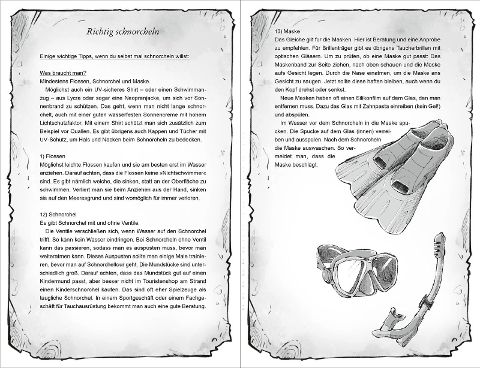 InsideView 4