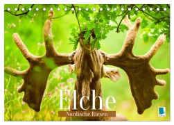 Cover-Bild zum Titel 'Elche: Nordische Riesen (Tischkalender 2026 DIN A5 quer), CALVENDO Monatskalender' von 'Calvendo Calvendo'