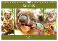 Koalas. Teddy-Alarm! (Wandkalender 2024 DIN A4 quer), CALVENDO Monatskalender - Rose Hurley