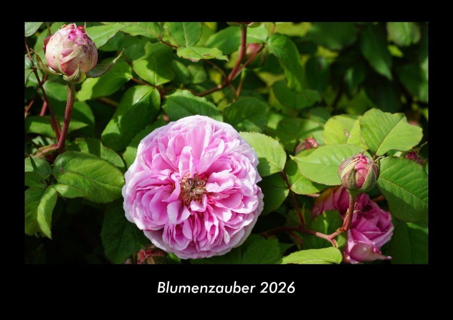 Blumenzauber 2026 Fotokalender DIN A3 - Tobias Becker