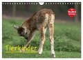 Tierkinder (Wandkalender 2025 DIN A4 quer), CALVENDO Monatskalender - Arno Klatt