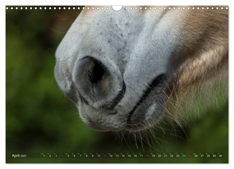 InsideView 9