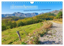 Cover-Bild zum Titel 'TransApuseni - Schönste Panoramastraße in Siebenbürgen (Wandkalender 2026 DIN A4 quer), CALVENDO Monatskalender' von 'LianeM LianeM'