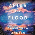 Cover-Bild zum Titel 'After the Flood Lib/E' von 'Kassandra Montag'