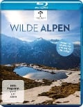 Cover-Bild zum Titel 'Wilde Alpen' von 'Manfred Plessl'