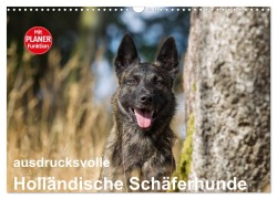 Cover-Bild zum Titel 'ausdrucksvolle Holländische Schäferhunde (Wandkalender 2026 DIN A3 quer), CALVENDO Monatskalender' von 'Fotodesign Verena Scholze'