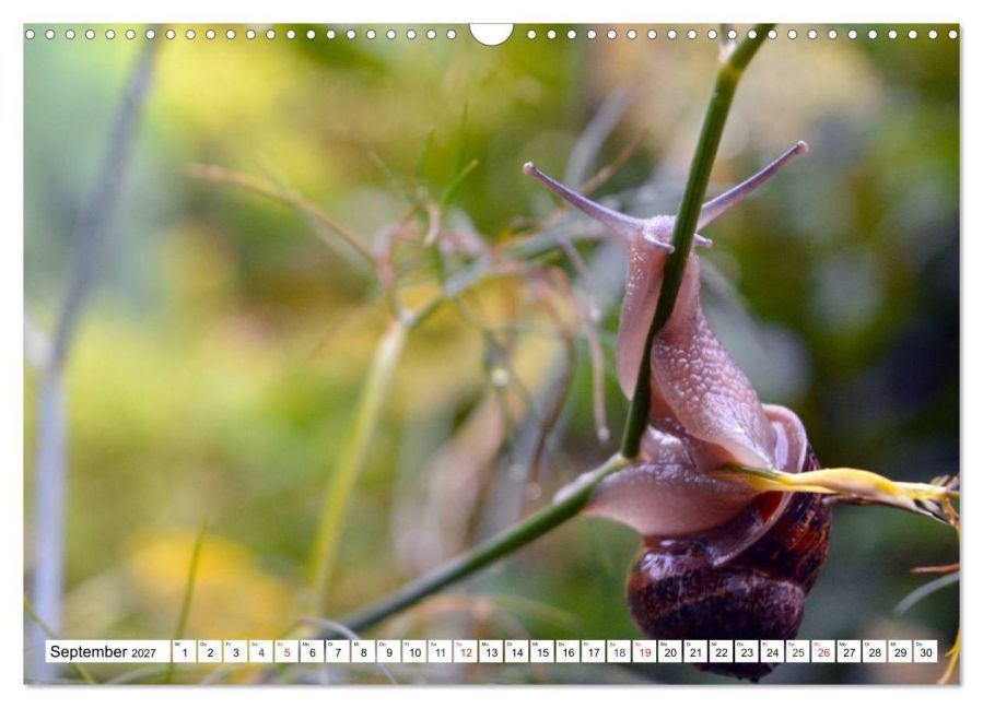InsideView 14