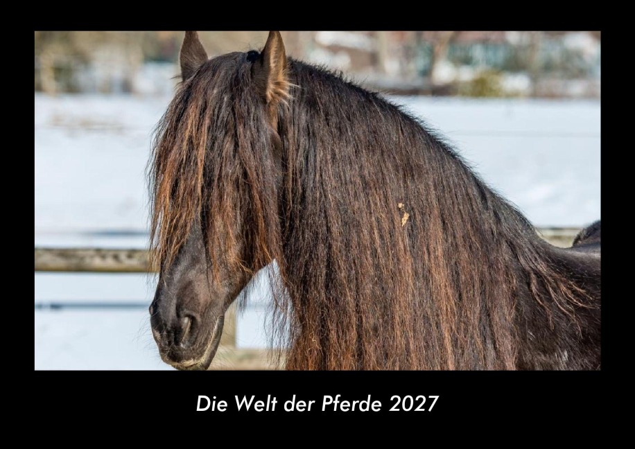 Die Welt der Pferde 2027 Fotokalender DIN A3 - Tobias Becker