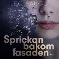 Cover-Bild zum Titel 'Sprickan bakom fasaden' von 'Leo Faugli'
