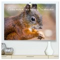 Eichhörnchen - die süßen Nussknacker (hochwertiger Premium Wandkalender 2025 DIN A2 quer), Kunstdruck in Hochglanz - Alena Holtz