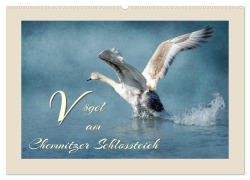 Cover-Bild zum Titel 'Vögel am Chemnitzer Schlossteich (Wandkalender 2026 DIN A2 quer), CALVENDO Monatskalender' von 'Heike Hultsch'