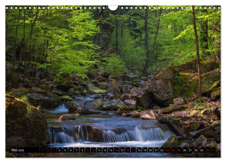 InsideView 10