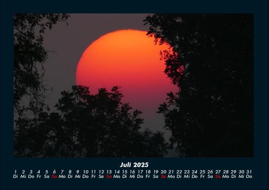 InsideView 11