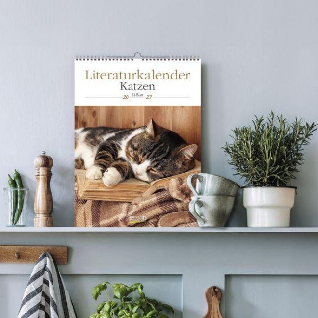 InsideView 16