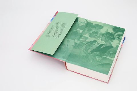 InsideView 5