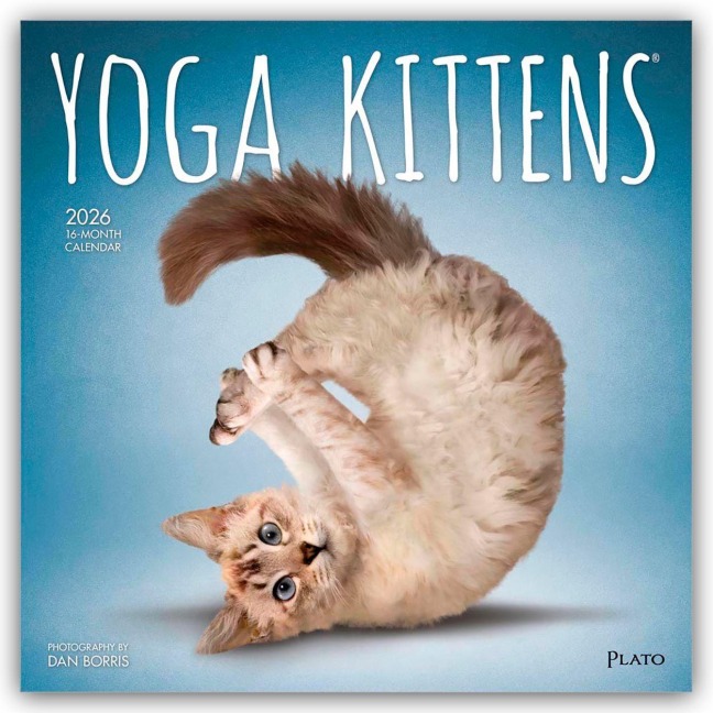 Yoga Kittens - Kätzchen Yoga 2026 - 16-Monatskalender - Browntrout Publishers