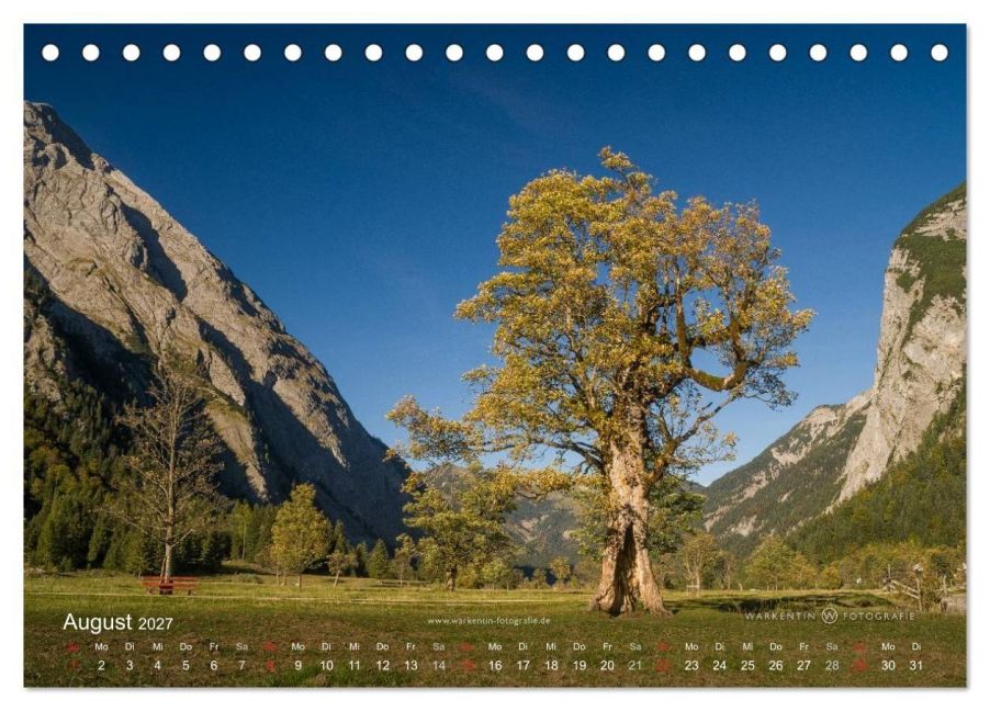 InsideView 13
