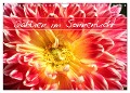 Dahlien im Sonnenlicht (Wandkalender 2024 DIN A4 quer), CALVENDO Monatskalender - Gisela Kruse