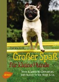Cover-Bild zum Titel 'Großer Spaß für kleine Hunde' von 'Corinna Lenz'
