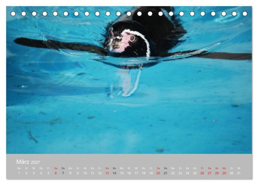InsideView 8