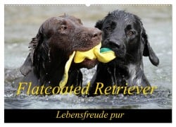 Cover-Bild zum Titel 'Flatcoated Retriever (Wandkalender 2026 DIN A2 quer), CALVENDO Monatskalender' von 'Beam Beatrice Müller'