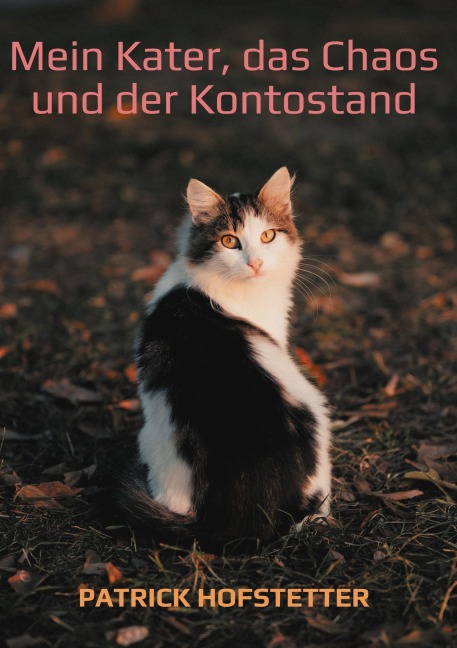Mein Kater, das Chaos und der Kontostand - Patrick Hofstetter