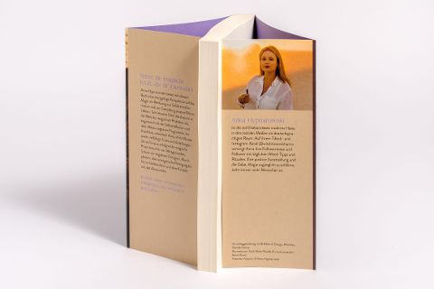 InsideView 4