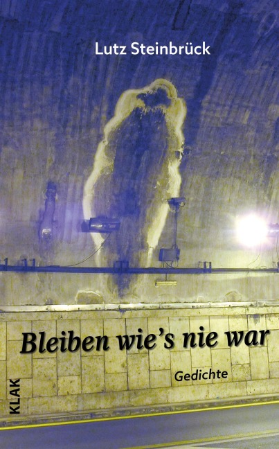 Bleiben wie's nie war - Lutz Steinbrück