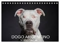 DOGO ARGENTINO (Tischkalender 2025 DIN A5 quer), CALVENDO Monatskalender - Schuberts-Fotografie Schuberts-Fotografie