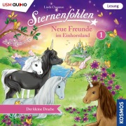 Cover-Bild zum Titel 'Der kleine Drache' von 'Linda Chapman, Cordula Setsman'
